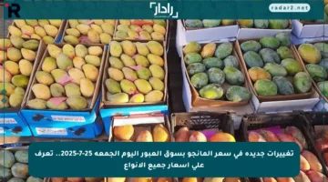تغييرات جديدة في سعر المانجو بسوق العبور اليوم الجمعة 25-7-2025.. تعرف على أسعار جميع الأنواع